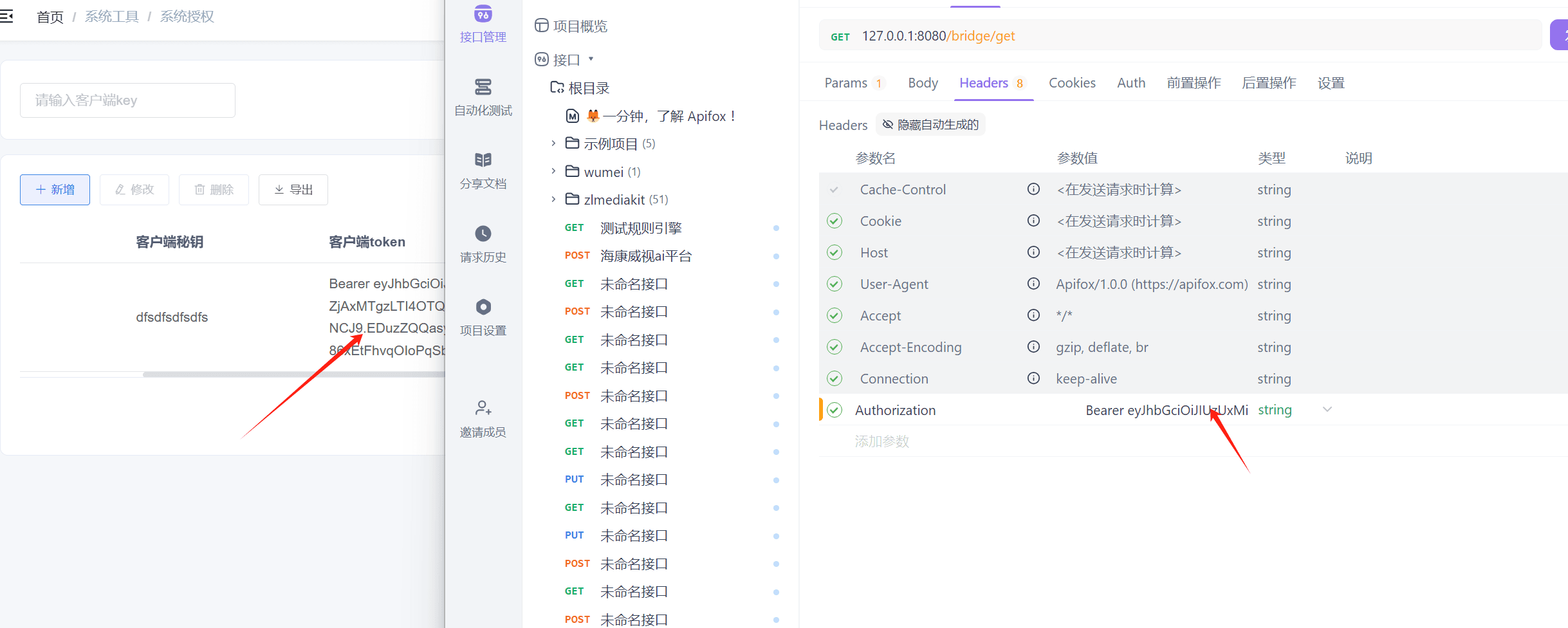 使用接口工具访问接口,填写参数和认证token,页面截图