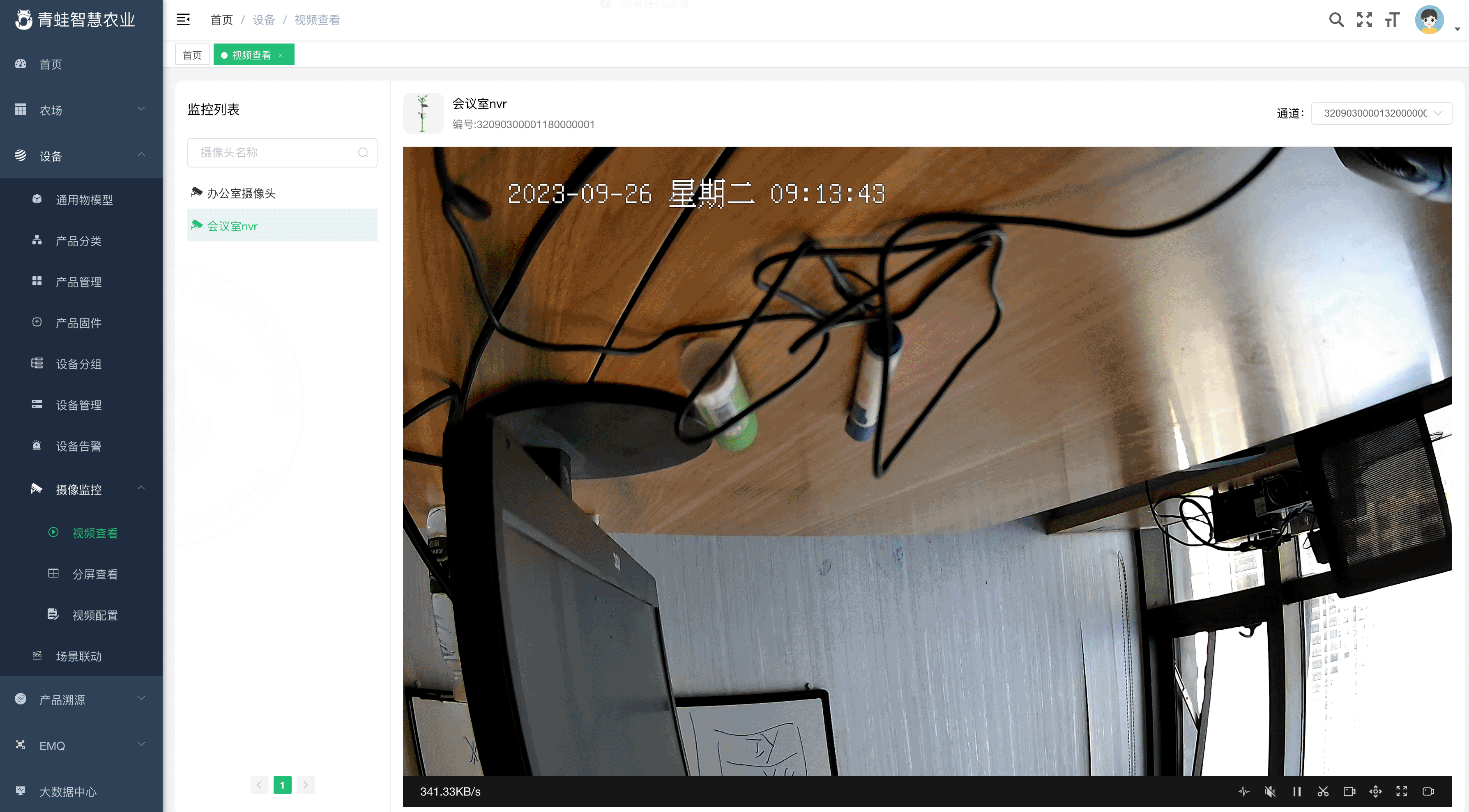 Video Monitoring