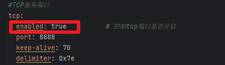 Enable TCP Service