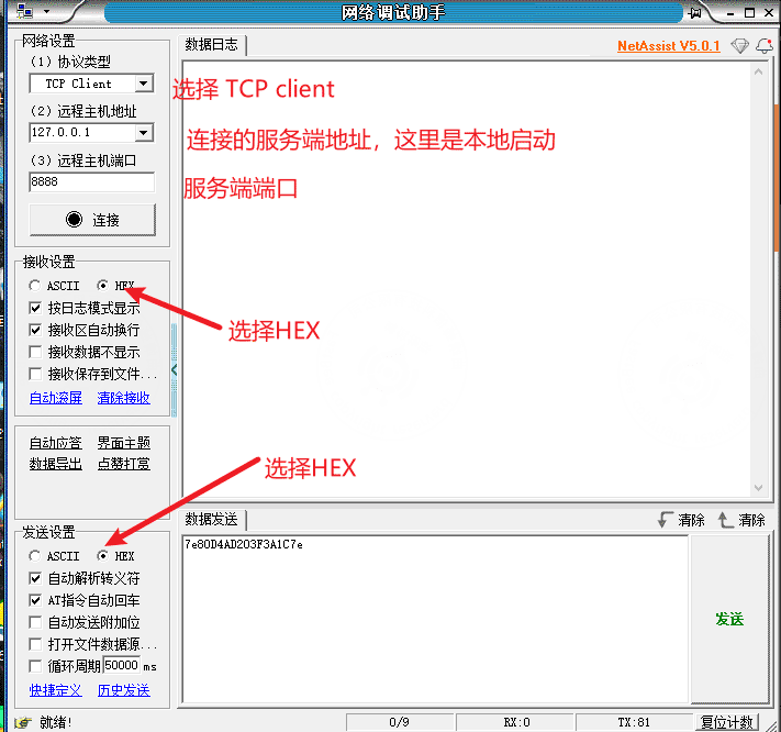TCP Simulation Client Test