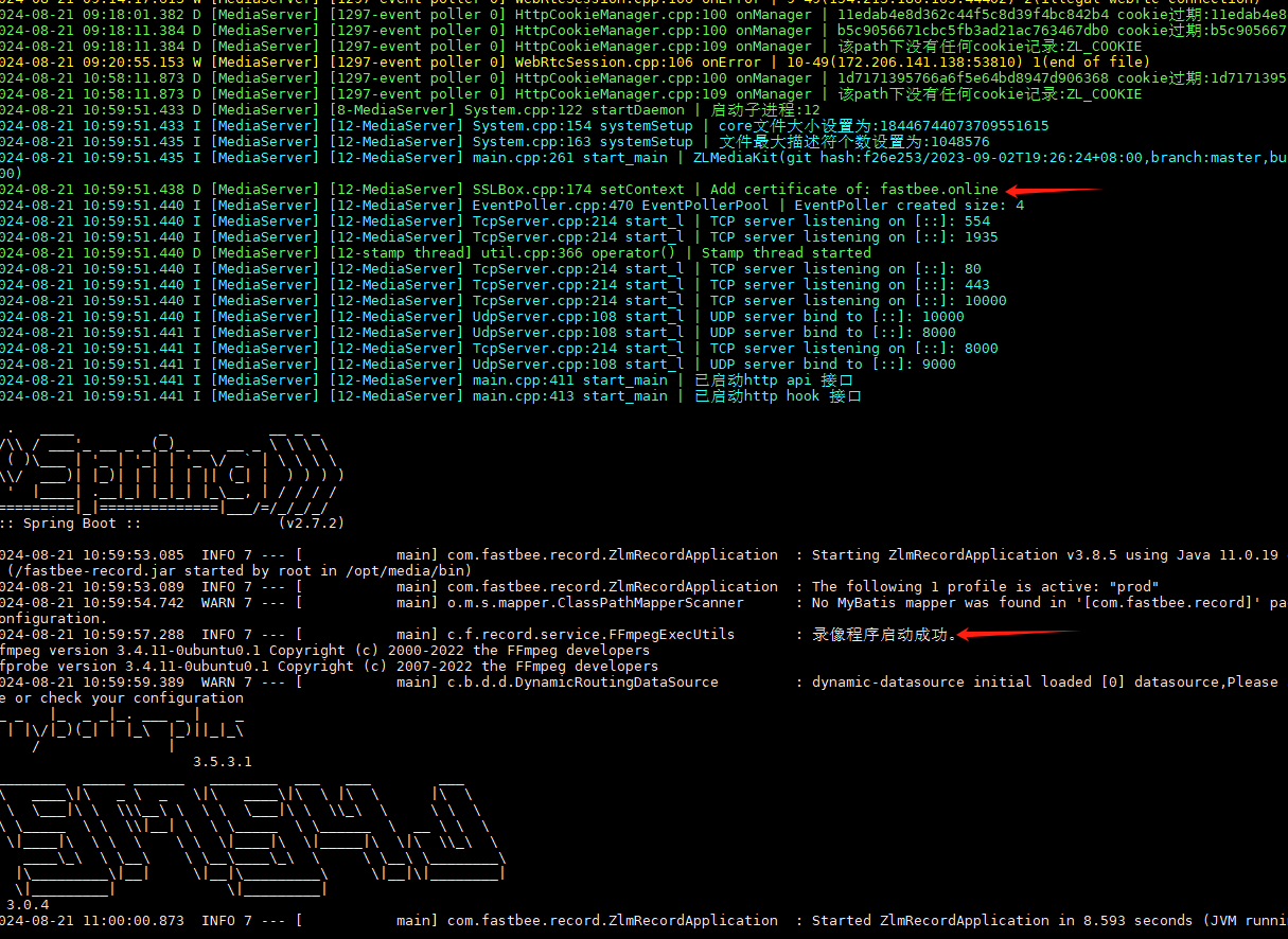 ZLMediaKit runtime log